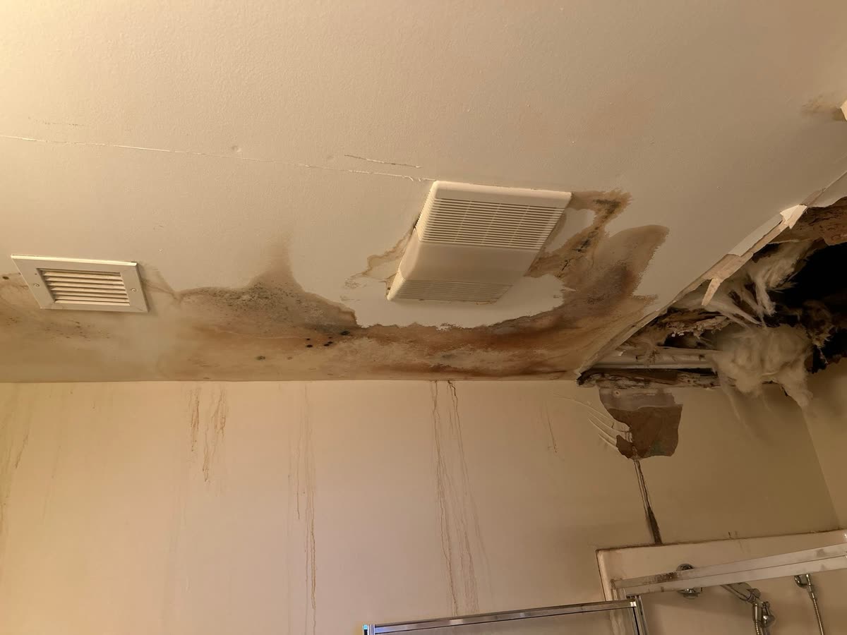 Bathroom ceiling before — water damage and mold around the vent